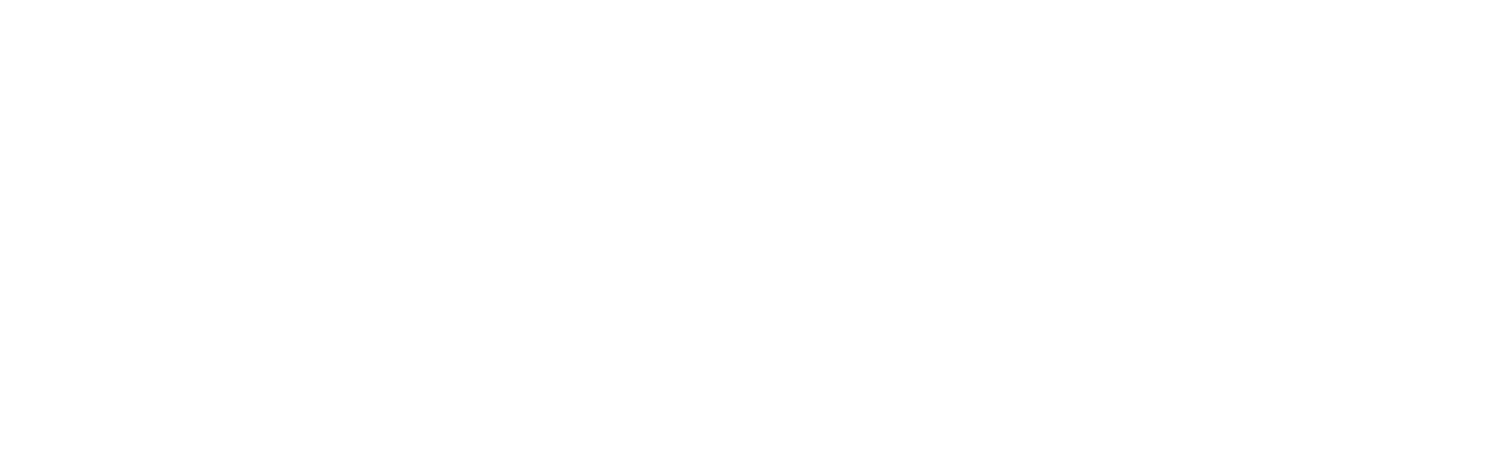 Lightning Fox logo